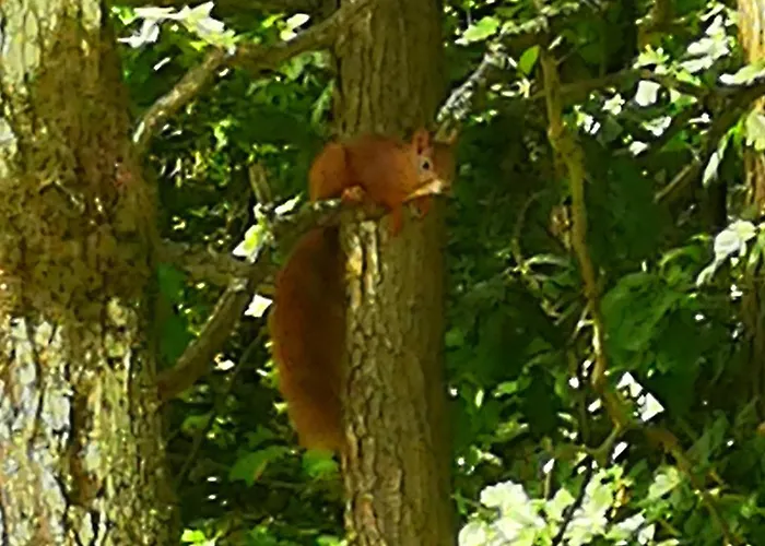 Pohoda * Svatava